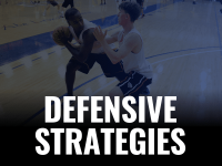 Defensive_Strategies_Icon.png